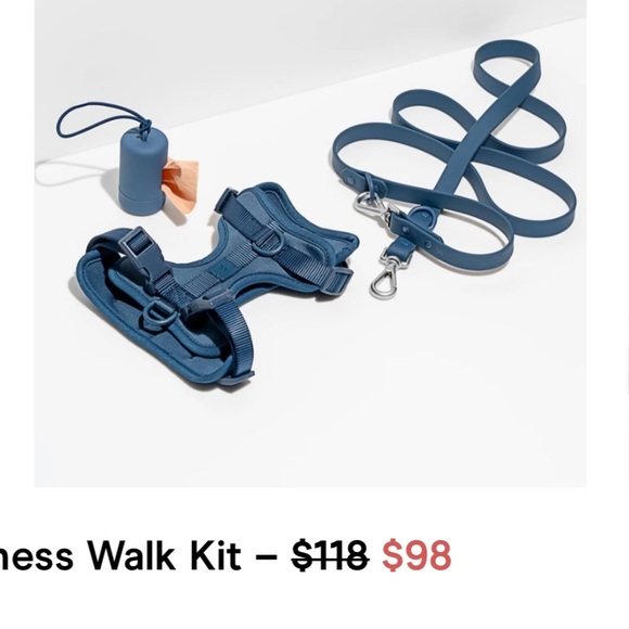 Wild One dog harness set + collar - Picture 1 of 10